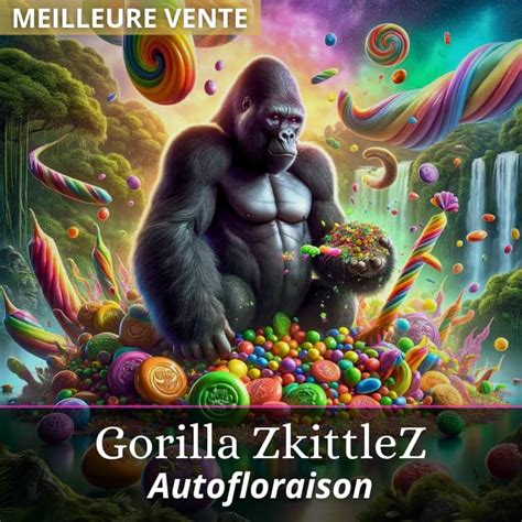 Gorilla Zkittlez Auto Green Gardium