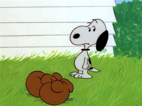 Snoopy Come Home - Where to Watch and Stream - TV Guide