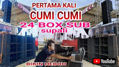 Cumi Cumi Audio Pertama Kali Bawa Box Sub Adella Horeg Youtube