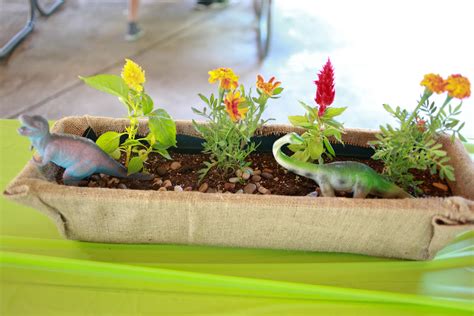 Dinosaur Flower Arrangement At Ellen Robin Blog