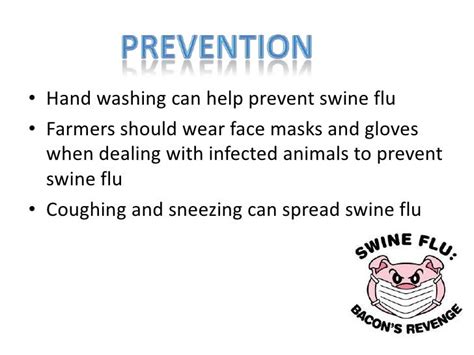 Swine Flu Ppt