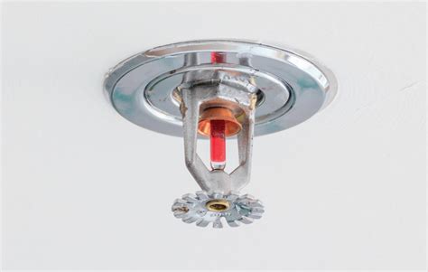 Protecting Fire Sprinkler Systems - Pest Control Technology