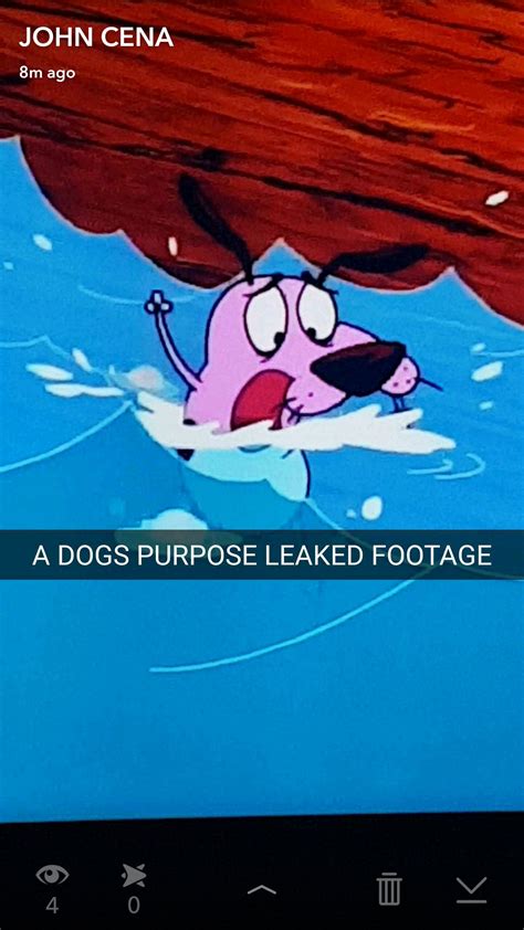 Leaked footage of A Dog's Purpose : r/funny
