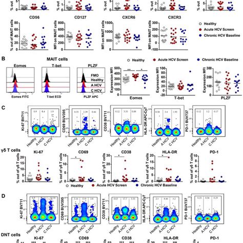 The Activated Phenotype Of Unconventional T Cells Restored After