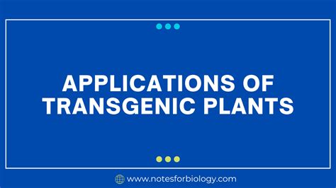 Transgenic Plants-Applications, Benefits, Examples