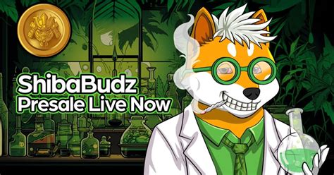 Shiba Budz BUDZ Emerges As Meme Coin Market Game Changer Attracting