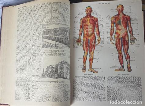 Nueva Enciclopedia Sopena Diccionario Ilustrad Comprar Enciclopedias