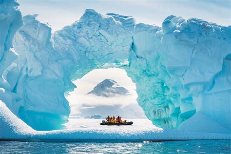 25 Wild Photos That Will Convince You To Visit Antarctica • Expert Vagabond