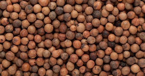 chandana santalum album top quality herbs tinctures