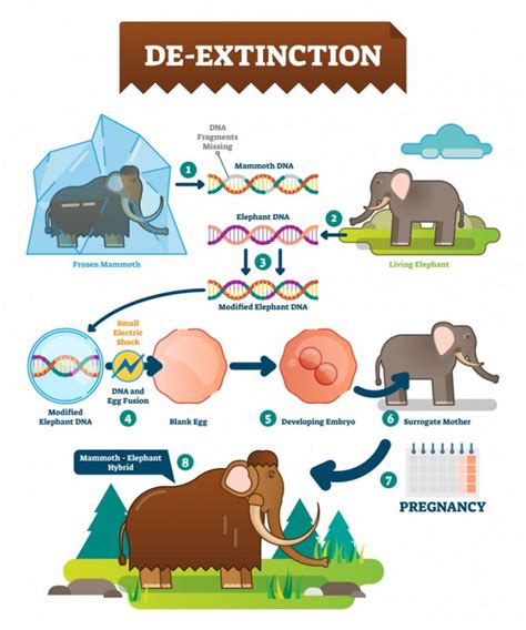 De Extinction: Can We Resurrect Extinct Animals?