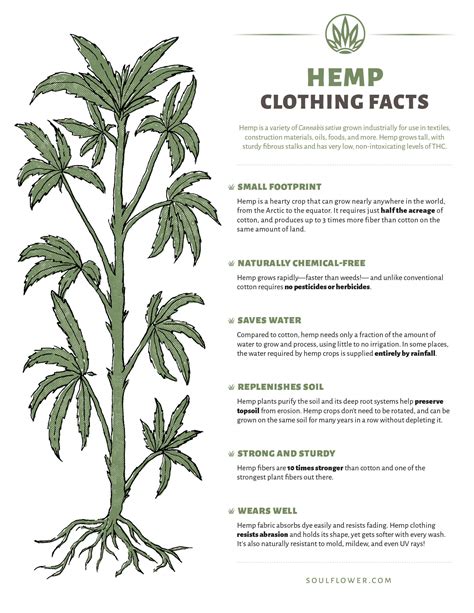 Hemp Clothing Benefits A Sustainable Choice Soul Flower Blog