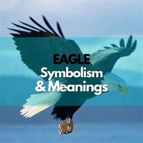 Eagle: Symbolism, Meanings, and History - Symbol Genie