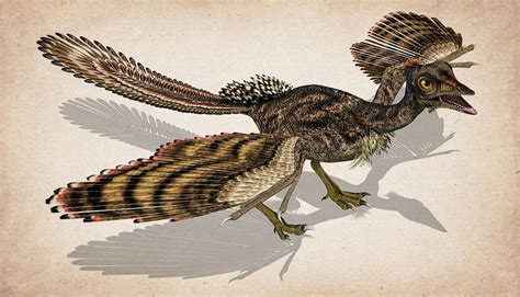 Did Feathered Dinosaurs Exist Feathered Dinosaurs