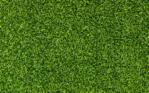 Grass Background wallpaper | 1920x1200 | #53342