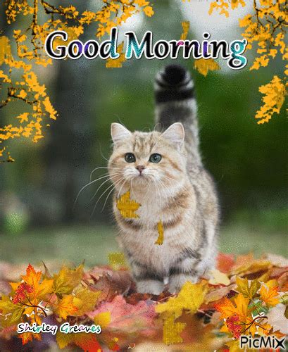 Fall Leaves Good Morning Gif Pictures, Photos, and Images for Facebook ...