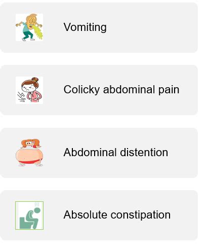 Intestinal Obstruction Flashcards Quizlet