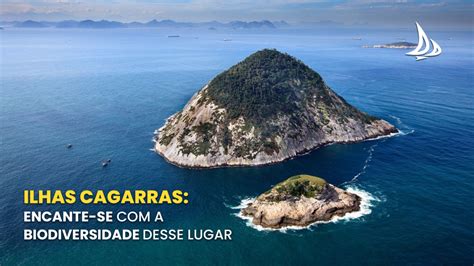 Ilhas Cagarras Encante Se A Biodiversidade Desse Lugar DD Rio