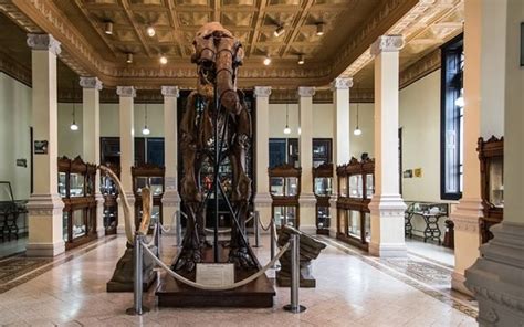 Visita el Museo de Geología que desde hace 112 años está dedicado a