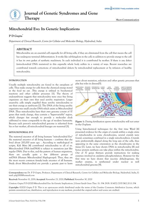 (PDF) Mitochondrial Eve: Its Genetic Implications