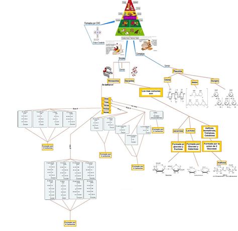 Quimica 2 Mapa Mental De Carbohidratos Porn Sex Picture