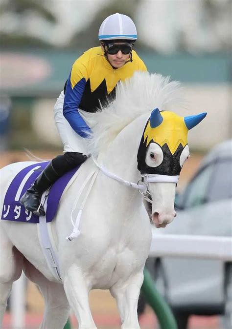 ソダシ 馬房で静養、初ダートの走り悪くなかった 今後未定 スポニチ競馬web