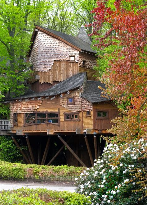 Alnwick Garden Treehouse 1 - Wisteria Tours