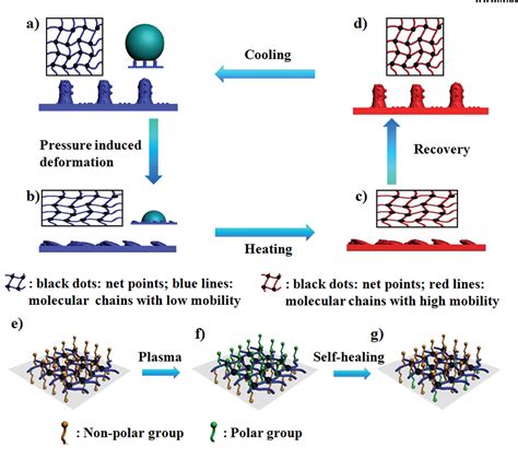 Figure From Self Restoration Of Superhydrophobicity On Shape Memory