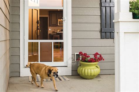 How To Install A Dog Door In A Storm Door | Storables