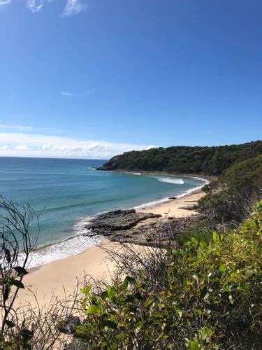 10 Best Hikes and Trails in Noosa National Park | AllTrails