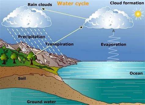 Water Cycle Summary What Is It A Level Geography Revision Notes