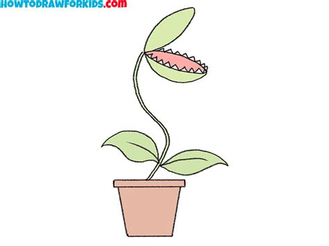 A Step By Step Guide To Drawing A Venus Flytrap Plant