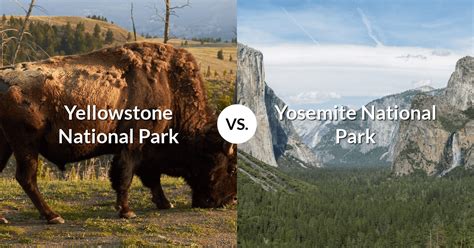 Yellowstone National Park Vs Yosemite National Park