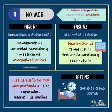 Fases del sueño Sueño No MOR Psicobiología Sueños Circadiano