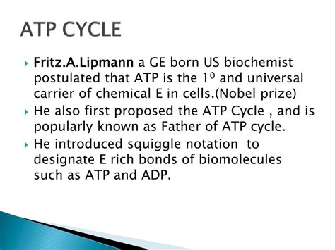 PPT - ATP CYCLE PowerPoint Presentation, free download - ID:7122646