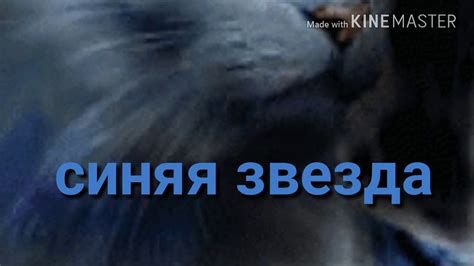 Синяя звезда и Жёлудь - YouTube