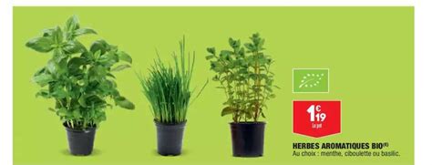 Promo Herbes Aromatiques Bio Chez Aldi ICatalogue Fr