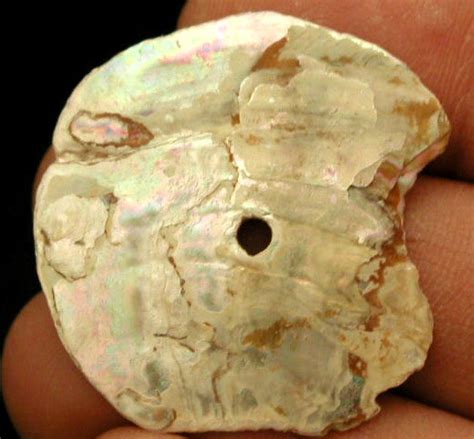 Chumash Indian Abalone Shell Pendant Ca Artifact 47835798