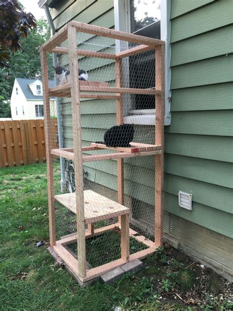 Catio Simple Outdoor Cat Enclosure Using A Few X And Chicken Wire