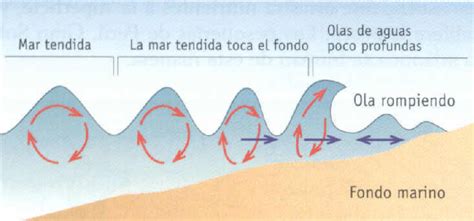 ¿cómo Se Forman Las Olas Blog