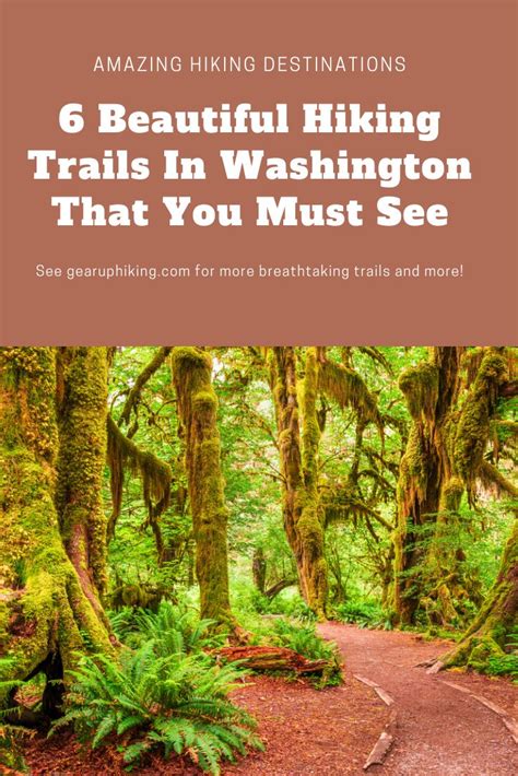 6 Beautiful Hiking Trails In Washington That You Must See | Hiking ...