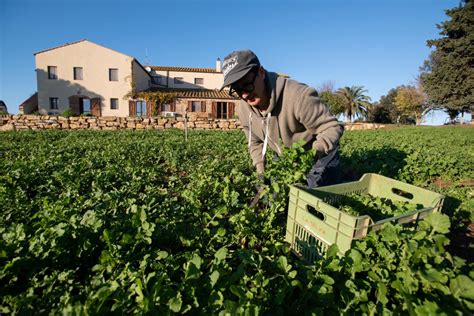 A vision for more resilient rural areas in Europe