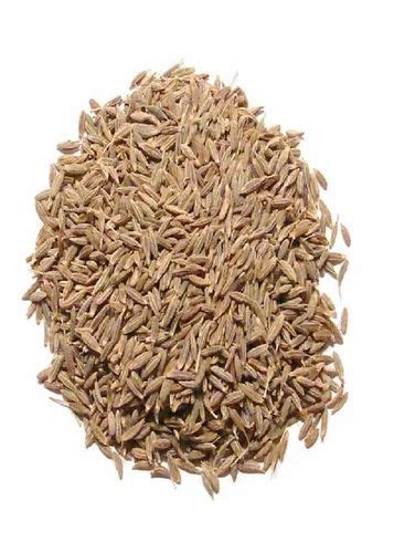 Brown Organic Cumin Seeds At Rs 150 Kg In Jaipur ID 15311524391