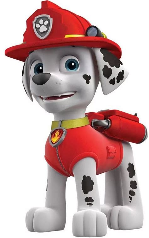 Pin by Zhanna Novak on Мультгерои Marshall paw patrol Paw patrol