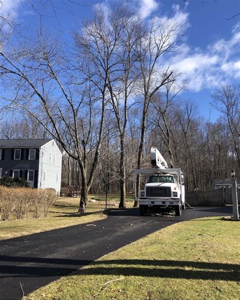 Tree Services — Fern Valley Farms