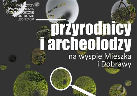 Warsztaty Przyrodniczo Archeologiczne Na Ostrowie Lednickim