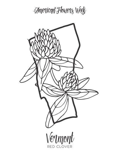 50 State Flowers — Free Coloring Pages – american flowers week