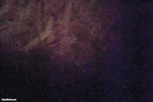 Assista 見学クラブ Amsteur Stripchat Sirouto Ajia Porn SpankBang