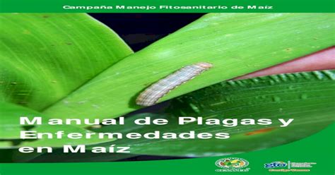 Control De Plagas En El Cultivo Del Maiz Pdf Document