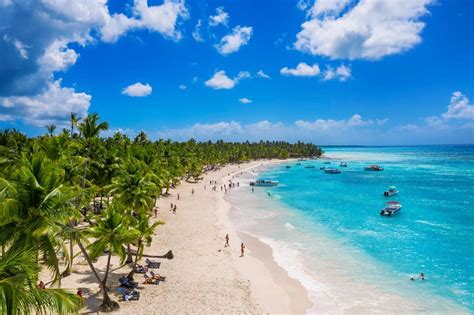 saona island delight of the sea from punta cana | GetYourGuide