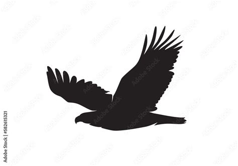 Bald Eagle in flight silhouette vector isolated on white. Flying Eagle ...